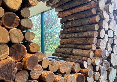 jonny-gios-ZAo3gtg9cjc-unsplash